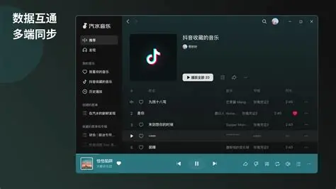 汽水音乐下载设置界面
